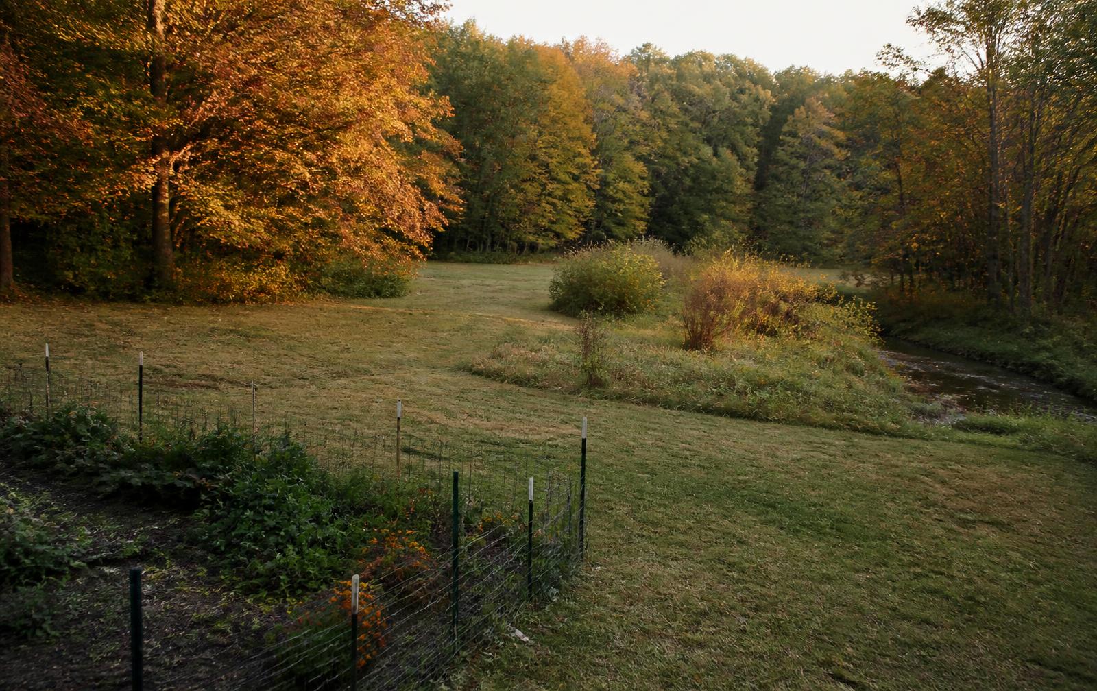 Open fields and woodland in Orange County, Virginia